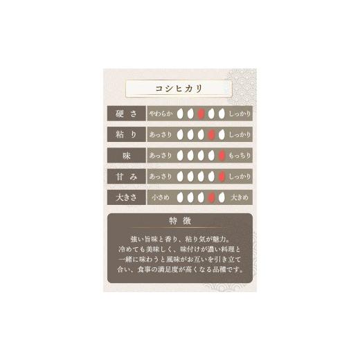 ふるさと納税 米 コシヒカリ 福井県 敦賀市 定期便3回 福井県産 コシヒカリ 無洗米 3kg（1kg×3） 令和7年産 ／ 数量限定 米 コメ お米 精米 白米 無洗米 玄…_5