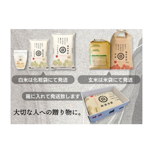 ふるさと納税 米 コシヒカリ 福井県 敦賀市 定期便3回 福井県産 コシヒカリ 無洗米 3kg（1kg×3） 令和7年産 ／ 数量限定 米 コメ お米 精米 白米 無洗米 玄…_6