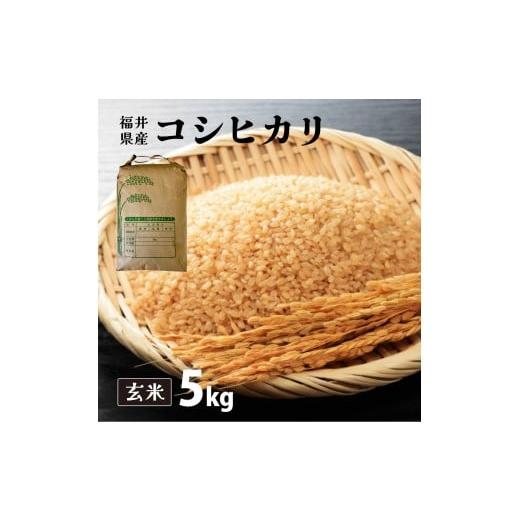 ふるさと納税 米 コシヒカリ 福井県 敦賀市 福井県産 コシヒカリ 玄米 5kg(5kg×1) 令和7年産 新米 / 数量限定 米 コメ お米 精米 白米 無洗米 玄米 ご飯 …