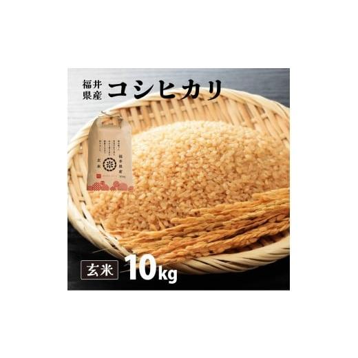 ふるさと納税 米 コシヒカリ 福井県 敦賀市 定期便3回 福井県産 コシヒカリ 玄米 10kg(10kg×1) 令和7年産 新米 / 数量限定 米 コメ お米 精米 白米 無洗…