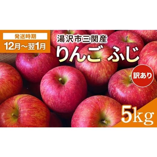 ふるさと納税 りんご 秋田県 湯沢市 湯沢市三関産りんご(ふじ)5kg 家庭用 訳あり ふるさと納税 旬 果物 フルーツ ジューシー 甘い 秋田県 藤山果樹園