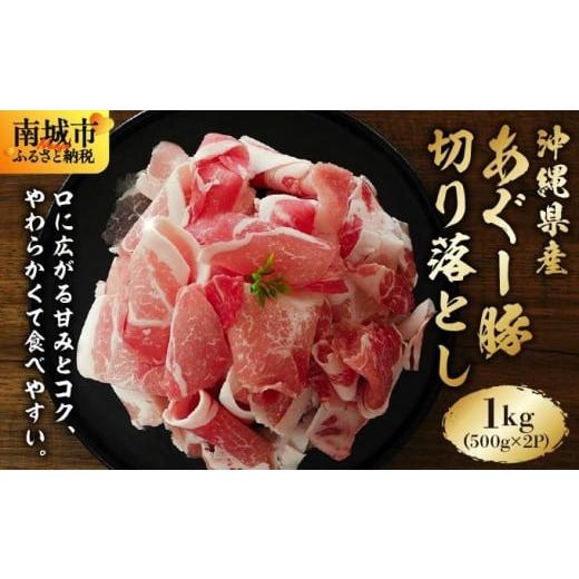 ふるさと納税 豚肉 沖縄県 南城市 あぐー豚 切落し 1kg(500g×2パック) I アグー豚 あぐー豚 あぐ〜豚 豚肉 ぶた肉 ブランド豚 切り落とし1000g 1kg 500g 2パ…