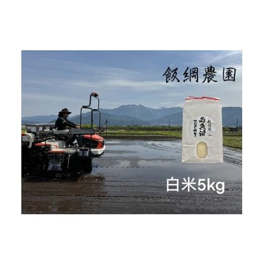 ふるさと納税 米 コシヒカリ 新潟県 南魚沼市 令和7年産 南魚沼産コシヒカリ 白米5kg