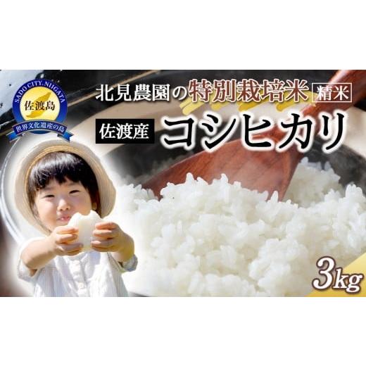 ふるさと納税 米 コシヒカリ 新潟県 佐渡市 令和7年産 北見農園の特別栽培米 令和7年 佐渡産コシヒカリ 3kg 農家自慢の逸品 精米