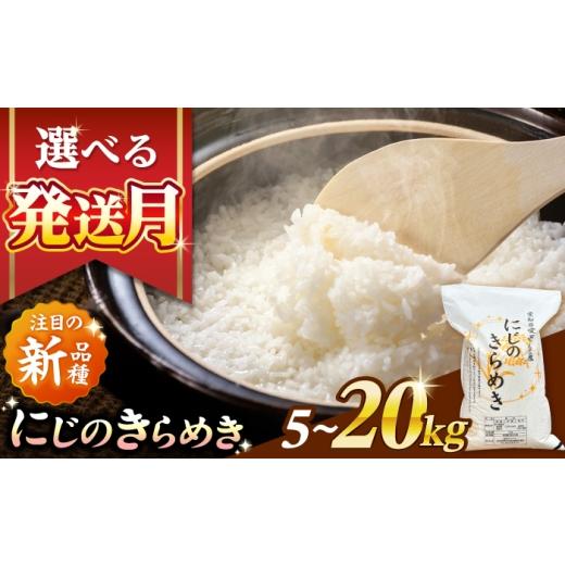 ふるさと納税 米 愛知県 愛西市 5kg/6月発送 にじのきらめき 白米 5kg 米 お米 ご飯 愛西市 / 脇野コンバイン 配達不可:離島 AECP039-06 5kg/6月発送