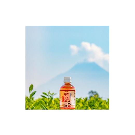 ふるさと納税 お茶類 ほうじ茶（飲料） 鹿児島県 垂水市 C3-22142／ 3回定期 かごんまほうじ茶 280ml×48本 ペットボトルの画像