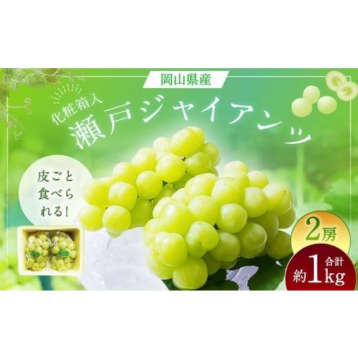 ふるさと納税 ぶどう マスカット 岡山県 美咲町 瀬戸ジャイアンツ 2房 (1房480g以上) 合計約1kg 化粧箱入り 2026年9月上旬〜10月上旬まで発送予定 / マスカ…