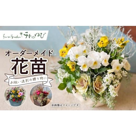 ふるさと納税 雑貨・日用品 花 鳥取県 倉吉市 オーダーメイド型(花苗) 花 寄せ鉢 贈り物 オーダーメイド プレゼント 記念日 お祝い 鳥取県 倉吉市