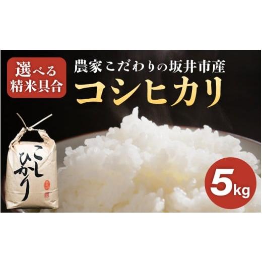 ふるさと納税 米 コシヒカリ 福井県 坂井市 令和7年産 農家こだわりの坂井市産 コシヒカリ 5kg 玄米 米 コメ お米 5キロ こしひかり ふるさと納税米 ブランド…