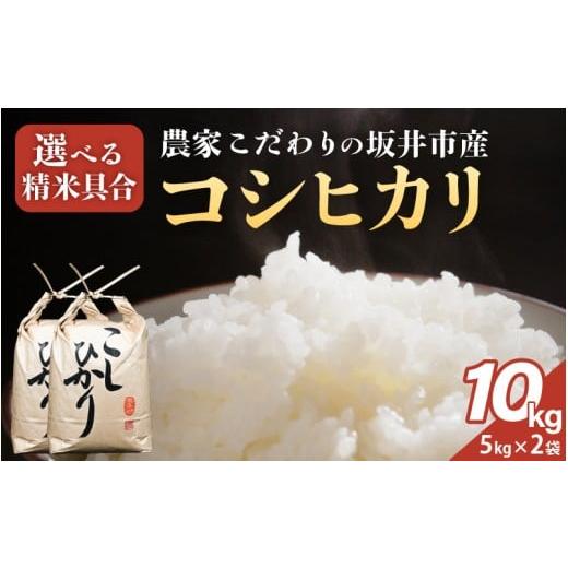 ふるさと納税 米 コシヒカリ 福井県 坂井市 令和7年産 農家こだわりの坂井市産 コシヒカリ 10kg (5kg×2袋) 玄米 米 コメ お米 5キロ こしひかり ふるさと納…