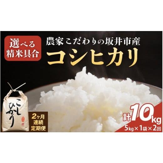 ふるさと納税 米 コシヒカリ 福井県 坂井市 定期便 2ヶ月連続お届け 令和7年産 農家こだわりの坂井市産 コシヒカリ 5kg×1袋×2回 (計10kg) 玄米 米 コメ お米…