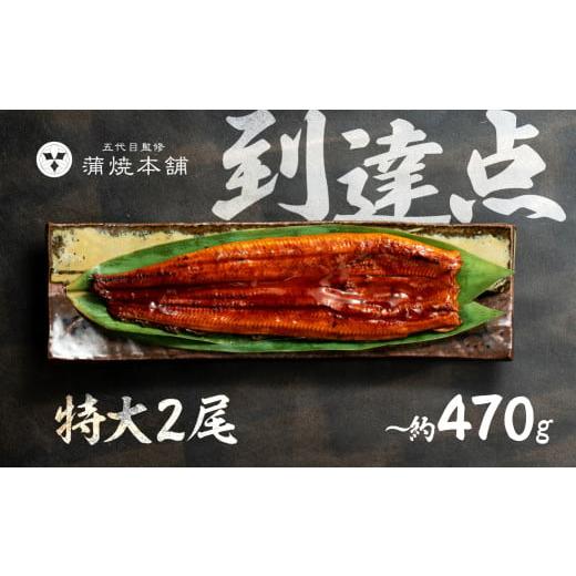 ふるさと納税 うなぎ 愛知県 豊橋市 年内お届け 特大サイズ 国産うなぎ 蒲焼 2尾 詰め合わせ 蒲焼 ウナギ 2尾 4尾 6尾 うなぎ 鰻 ウナギ unagi 土用 丑の日 …