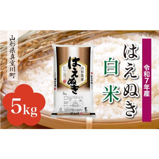 ふるさと納税 米 はえぬき 山形県 真室川町 令和7年産米 はえぬき 白米 5kg (5kg×1袋) 配送時期指定可 山形県真室川町