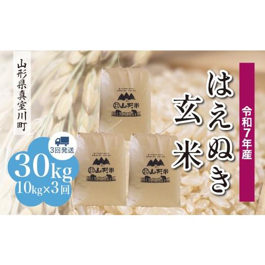 ふるさと納税 玄米 山形県 真室川町 令和7年産米 はえぬき 玄米 30kg定期便 (10kg×3回発送) 配送時期指定可 山形県真室川町