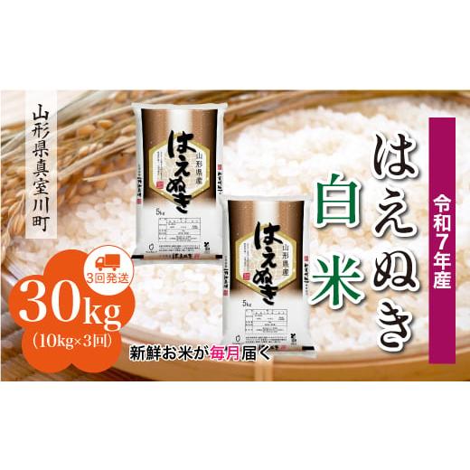 ふるさと納税 米 はえぬき 山形県 真室川町 令和7年産米 はえぬき 白米 定期便 30kg (10kg×1ヶ月間隔で3回お届け) 配送時期指定可 山形県真室川町