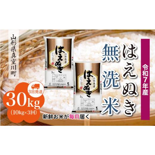 ふるさと納税 無洗米 山形県 真室川町 令和7年産米 はえぬき 無洗米 定期便 30kg (10kg×1ヶ月間隔で3回お届け) 配送時期指定可 山形県真室川町