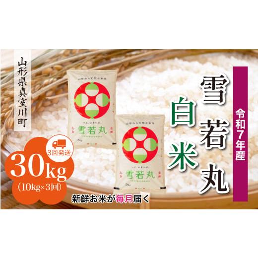 ふるさと納税 米 山形県 真室川町 令和7年産米 雪若丸 白米 定期便 30kg (10kg×1ヶ月間隔で3回お届け) 配送時期指定可 山形県真室川町