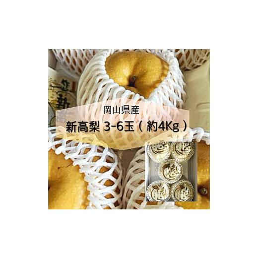 ふるさと納税 梨 岡山県 美咲町 新高 梨 3〜6玉 (約4kg) 化粧箱入り 2026年9月下旬〜11月上旬迄発送予定 / なし 和梨 果物 果実 フルーツ 大玉 岡山県 美咲…