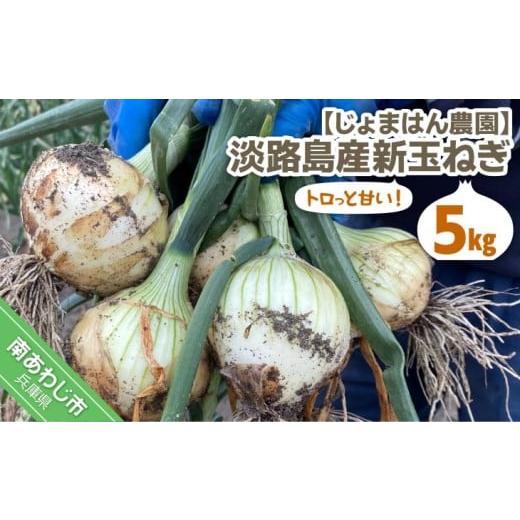 ふるさと納税 野菜類 玉ねぎ 兵庫県 南あわじ市 新玉予約 じょまはん農園 トロっと甘い 淡路島産新玉ねぎ5kg