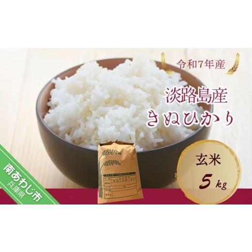 ふるさと納税 米 兵庫県 南あわじ市 令和7年産新米 淡路島産キヌヒカリ 玄米5kg