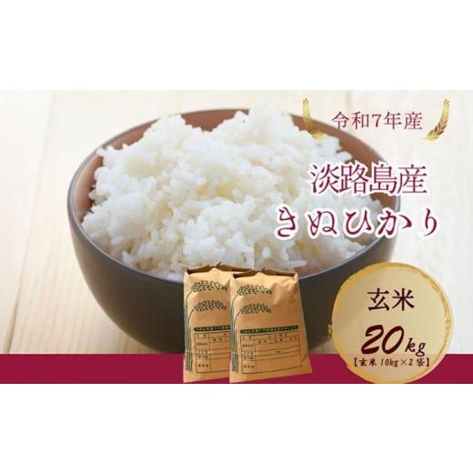 ふるさと納税 米 兵庫県 南あわじ市 令和7年産新米 淡路島産キヌヒカリ