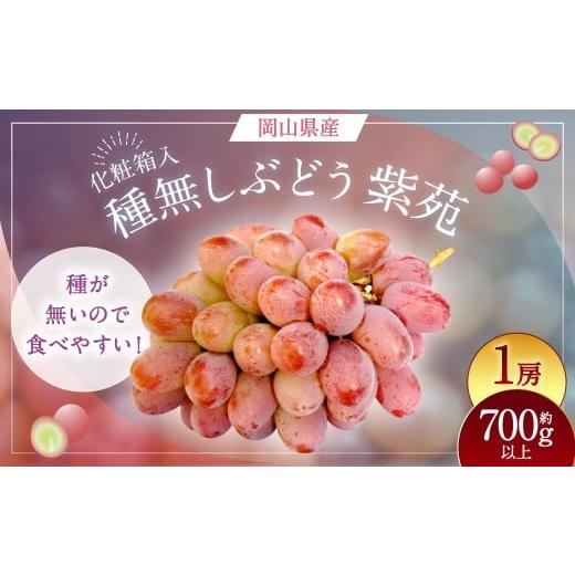 ふるさと納税 果物類 ぶどう 岡山県 美咲町 紫苑 1房(700g以上) 化粧箱入り 2026年10月下旬〜11月下旬まで発送予定 / 葡萄 ぶどう 果物 果実 フルーツ 種な…