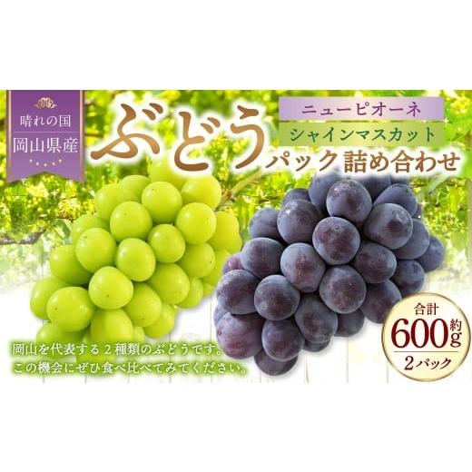 ふるさと納税 ぶどう マスカット 岡山県 美咲町 岡山県産 ぶどうパック詰合せ 2種2パックセット ( ニューピオーネ ・ シャインマスカット ) 2026年9月上旬〜…
