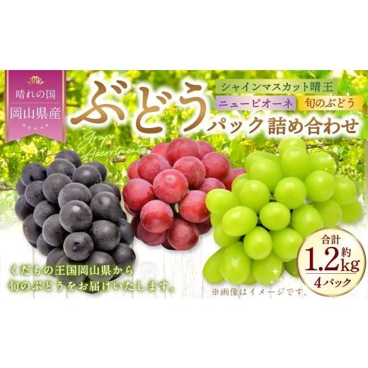 ふるさと納税 ぶどう マスカット 岡山県 美咲町 岡山県産 ぶどうパック詰合せ 3種4パックセット ( ニューピオーネ ・ シャインマスカット ・ 旬のぶどう ) 2…