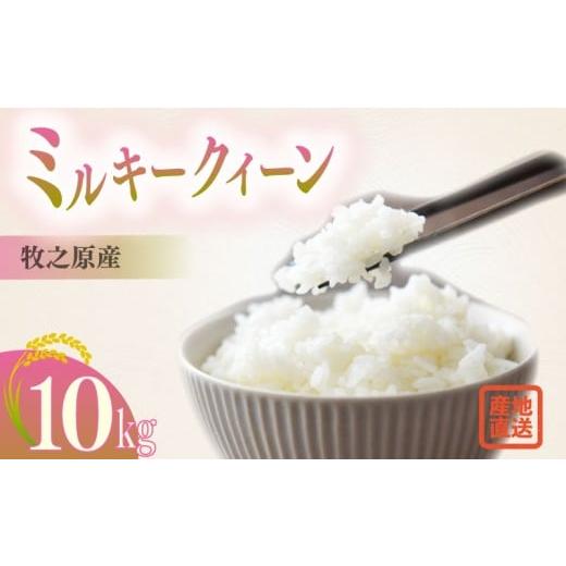 ふるさと納税 米 ミルキークイーン 静岡県 牧之原市 2025年度産 10kg