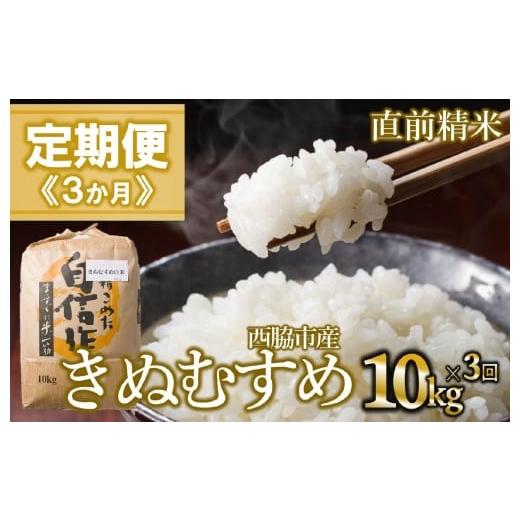 ふるさと納税 米 きぬむすめ 兵庫県 西脇市 定期便 3か月 きぬむすめ 白米10kg(3か月連続お届け)新米 2025年産 米 お米 米10kg お米10kg 兵庫県産 きぬむ…