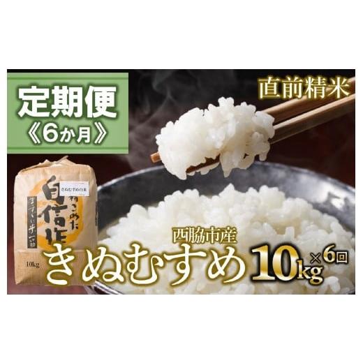 ふるさと納税 米 きぬむすめ 兵庫県 西脇市 定期便 6か月 きぬむすめ 白米10kg(6か月連続お届け)新米 2025年産 米 お米 米10kg お米10kg 兵庫県産 きぬむす…