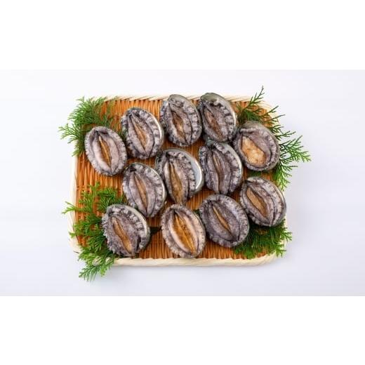 ふるさと納税 魚貝類 アワビ 長崎県 佐世保市 A501 九十九島遺活あわび(900g)養殖