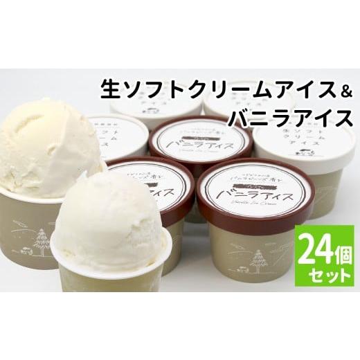 ふるさと納税 菓子 アイス 長野県 根羽村 生ソフトクリーム&バニラアイス 24個 食べ比べ 着色料不使用 高評価 80ml マダガスカル産 生乳 スイーツ アイスクリ…