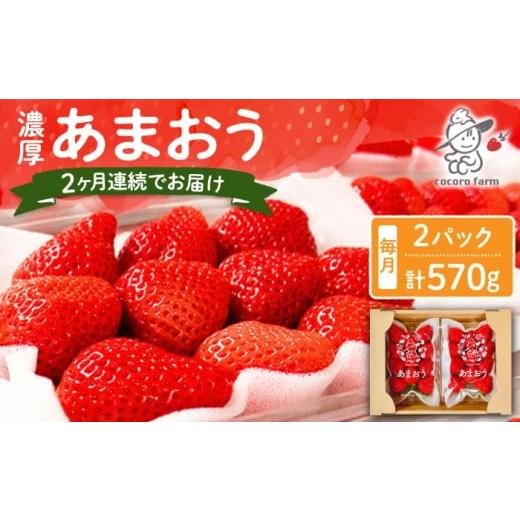 ふるさと納税 いちご 福岡県 豊前市 2回定期便 2025年12月から配送 ココロファームの濃厚あまおう 285g×2P 約570g [豊前市] ココロファーム