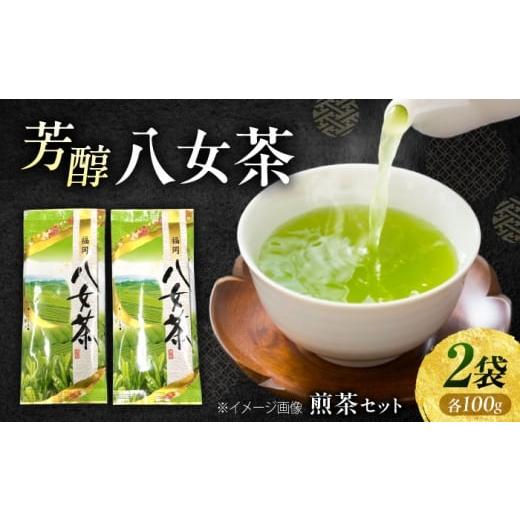 ふるさと納税 お茶類 福岡県 豊前市 八女茶 煎茶セット 100g×2袋 [豊前市] 株式会社木村食品(千代海苔株式会社)