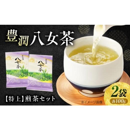 ふるさと納税 お茶類 福岡県 豊前市 八女茶 特上 煎茶セット 100g×2袋 [豊前市] 株式会社木村食品(千代海苔株式会社)