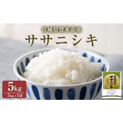 ふるさと納税 米 ササニシキ 宮城県 登米市 令和7年産・新米 ササニシキ 精米 5kg(5kg×1袋) 登米市産 米 お米 おこめ ごはん ご飯 白米 おにぎり お弁当 さ…
