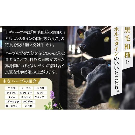 ふるさと納税 缶詰・瓶詰 肉類 北海道 上士幌町 十勝ハーブ牛