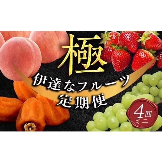 ふるさと納税 果物の詰合せ 福島県 伊達市 年中受付 福島県産 極・伊達なフルーツ定期便 (ミニ) 全4回 桃 あかつき シャインマスカット あんぽ柿 いちご とち…