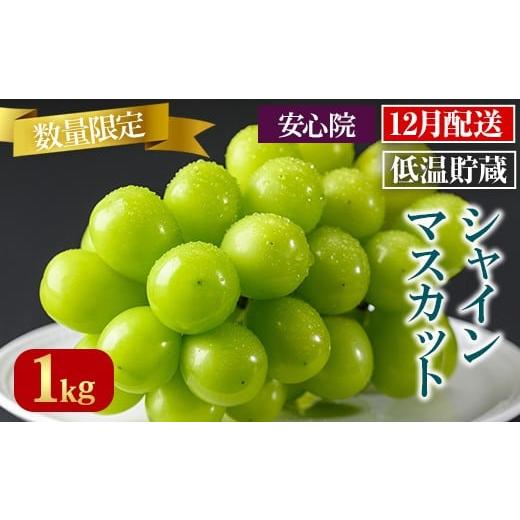 ふるさと納税 ぶどう マスカット 大分県 宇佐市 貯蔵シャインマスカット(1kg)シャインマスカット ぶどう 葡萄 フルーツ 果物 くだもの 果実 先行予約受付中 20…