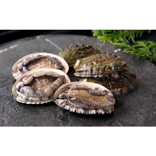 ふるさと納税 魚貝類 アワビ 長崎県 佐世保市 A507 翠巡(すいじゅん)完全養殖佐世保産あわび4個