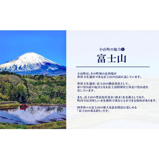 ふるさと納税 雑貨・日用品 静岡県 小山町 ついなちゃん御朱印三種と専用護摩木 | 御朱印 御朱印帳 朱印 お寺 御朱印セット 金剛山 紅冨台寺 静岡県 小山町 |  | 07