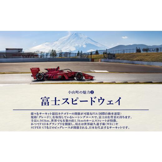 ふるさと納税 雑貨・日用品 静岡県 小山町 ついなちゃん御朱印三種と専用護摩木 | 御朱印 御朱印帳 朱印 お寺 御朱印セット 金剛山 紅冨台寺 静岡県 小山町 |  | 08