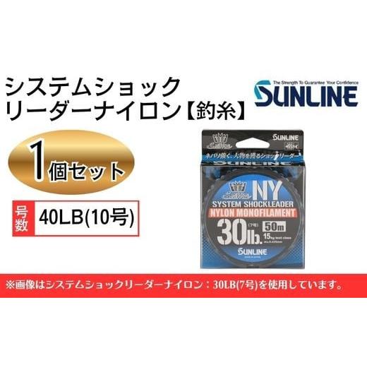 ふるさと納税 フィッシング リール 山口県 岩国市 システムショックリーダー ナイロン 釣糸 40LB(10号) 1個 サンライン 40LB(10号)