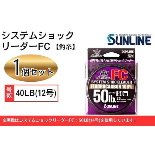 ふるさと納税 フィッシング リール 山口県 岩国市 システムショックリーダー FC 釣糸 40LB(12号) 1個 サンライン 40LB(12号)