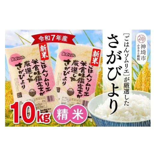 ふるさと納税 米 さがびより 佐賀県 神埼市 令和7年産 新米 ごはんソムリエが厳選 白米 さがびより 10kg 神埼市産 米 お米 精米 白米 10kg 5kg×2 さがびより…