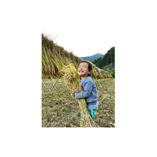 ふるさと納税 米 ヒノヒカリ 高知県 土佐町 土佐町はでかけ米 玄米30kg