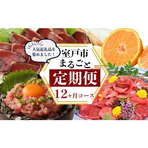 ふるさと納税 旬の鮮魚等 高知県 室戸市 定期便 12回 室戸まるごと定期便 人気の品12か月お届けコース 定期便 海鮮 定期便 肉 定期便 果物 かつお まぐろ ネ…