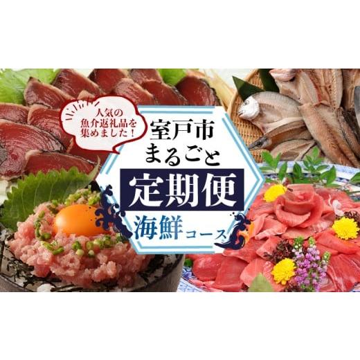 ふるさと納税 旬の鮮魚等 高知県 室戸市 定期便 12回 室戸まるごと定期便 12か月お届けコース 海鮮 魚介 かつお 本マグロ ネギトロ 伊勢海老 鰹 かつおのたた…