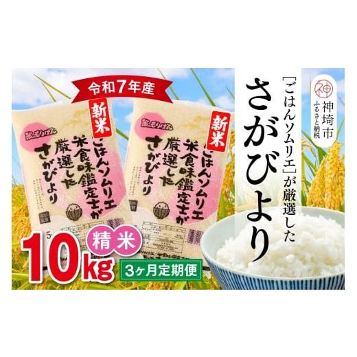 ふるさと納税 米 さがびより 佐賀県 神埼市 令和7年産 新米 3ヶ月定期便 ごはんソムリエが厳選 白米 さがびより 10kg 神埼市産 米 お米 精米 白米 10kg 5kg×…